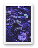 Deep ( Photography by Sai Shanmugam V)