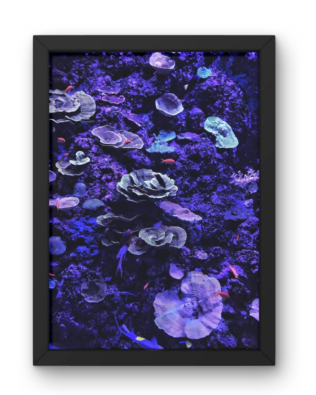 Deep ( Photography by Sai Shanmugam V)