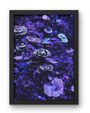 Deep ( Photography by Sai Shanmugam V)